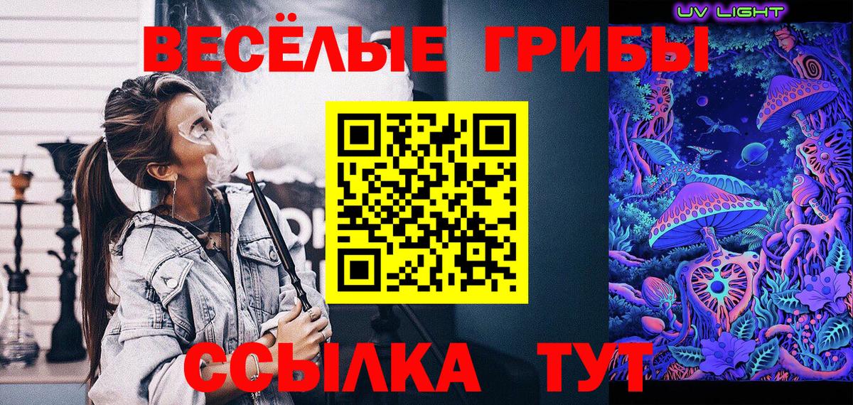 Галлюциногенные грибы Psilocybe Нефтекамск