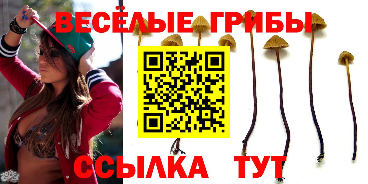 Псилоцибиновые грибы мицелий  Вход с VPN  Псилоцибиновые грибы Magic Shrooms  Нефтекамск 